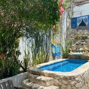 caribo-cozumel.quintano-roohotels.com/